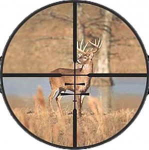 Target Your Market – Rifle vs Shotgun: Valuable Lessons I’ve Learned From A Children’s Story